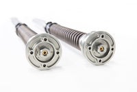 Kawasaki ZX-6R (Showa)